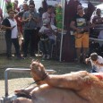 Dealul Costeştiului, din Vâlcea, în apropiere de Horezu, a fumegat din plin la sfârşitul sãptãmânii trecute de grãtarele miilor de romi veniţi aici din toatã ţara pentru a se distra...