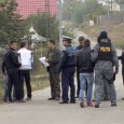 Poliţiştii gorjeni au reţinut, marţi, nu mai puţin de 12 tineri suspectaţi cã fac parte dintr-o grupare compusã din 14 persoane implicate în furturi de cabluri de fibrã opticã, pentru...