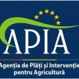 Decizia definitivã a Înaltei Curţi de Casaţie şi Justiţie de a respinge contestaţiile prin care o funcţionarã a APIA Gorj încerca sã scape de acuzaţiile de incompatibilitate aduse de Agenţia...
