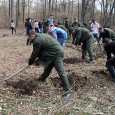 Plantări de stejari la Novaci în cadrul “Lunii Pădurii” Plantări de stejari la Novaci în cadrul “Lunii Pădurii” Reprezentanţii Agenţiei pentru Protecţia Mediului Gorj au participat în data de 21 martie 2016, la cea de-a doua acţiune de plantare...
