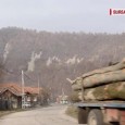 &nbsp; Greenpeace a anunţat ieri că monitorizările pe care le-a făcut la mijlocul lunii trecute în pădurile din zona Peştişani, în special în satul Gureni, cu privire la legalitatea tăierii...