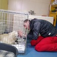 Situaţie de neimaginat pentru un medic veterinar din Târgu Jiu care a mers la padocul de la Târgu Cărbuneşti pentru a adopta o căţea care tocmai fătase trei pui, pe...