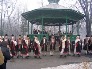 parc tg jiu