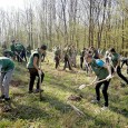 55 de Ucenici Electricieni au participat la prima lor actiune de voluntariat impreuna cu echipa Distributie Oltenia, in cadrul Lunii Padurii – editia 2018. Ei au invatat ca munca in...