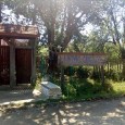         Înălţarea Sfintei Cruci, celebrată pe 14 septembrie este o mare sărbătoare creştin ortodoxă. Vineri începând cu ora 11.00, Centrul Judeţean pentru Conservarea şi Promovarea Culturii Tradiţionale Gorj şi Primăria...