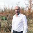 Cea mai mare plantaţie de cătină din ţară şi chiar din estul Europei există la Târgu Cărbuneşti şi îi aparţine omului de afaceri Ilie Potecaru. Aproape 50 de hectare a...