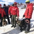 Staţiunea Rânca a găzduit la sfârşitul săptămânii trecute un inedit exerciţiu de evaluare a câinilor pe care salvatorii montani îi vor folosi de acum încolo în intervenţiile pe care le...