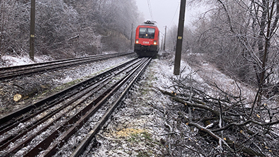 Câţiva arbori căzuţi ieri dimineaţă pe calea ferată la câţiva kilometri distanţă de Petroşani, înspre Haţeg, a dat peste cap tot traficul feroviar din zona Văii Jiului. Trei trenuri în...