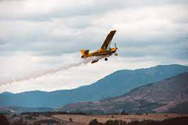 Visul pe care omul de afaceri Mihai Merluşcă l-a avut în urmă cu un deceniu de a crea la marginea municipiului un aerodrom de unde să zboare avioane de mici...