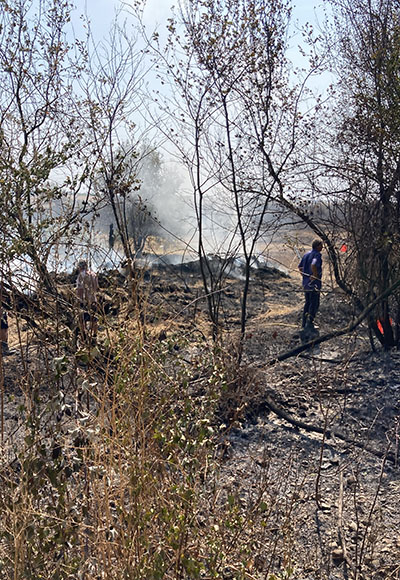 Pompierii militari continuă să fie solicitaţi zilnic pentru a stinge incendii de vegetaţie în diverse locuri din judeţ în care acestea se produc. Cea mai solicitantă intervenţie din acest punct...