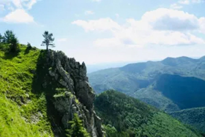 Se anunţă petrecere mare la Runcu, de Rusalii, unde sunt aşteptaţi sute de localnici şi turişti care să vină şi să urce în Vârful Pleşa. Aici ar urma să fie...