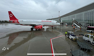 Zboruri spre Istanbul de la Craiova. Aeroportul cel nou, aproape gata! Autorităţile din Craiova se pregătesc să inaugureze toamna aceasta noul aeroport internaţional construit de la zero în apropierea celui actual. Până la tăierea panglicii, a fost inaugurată o nouă rută...