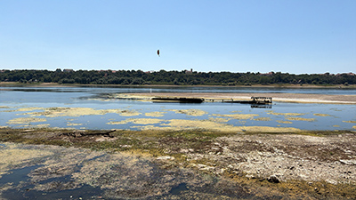 dunarea